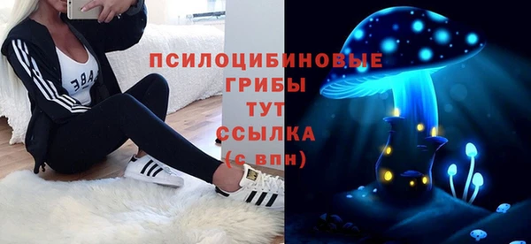 ПСИЛОЦИБИНОВЫЕ ГРИБЫ Михайловск